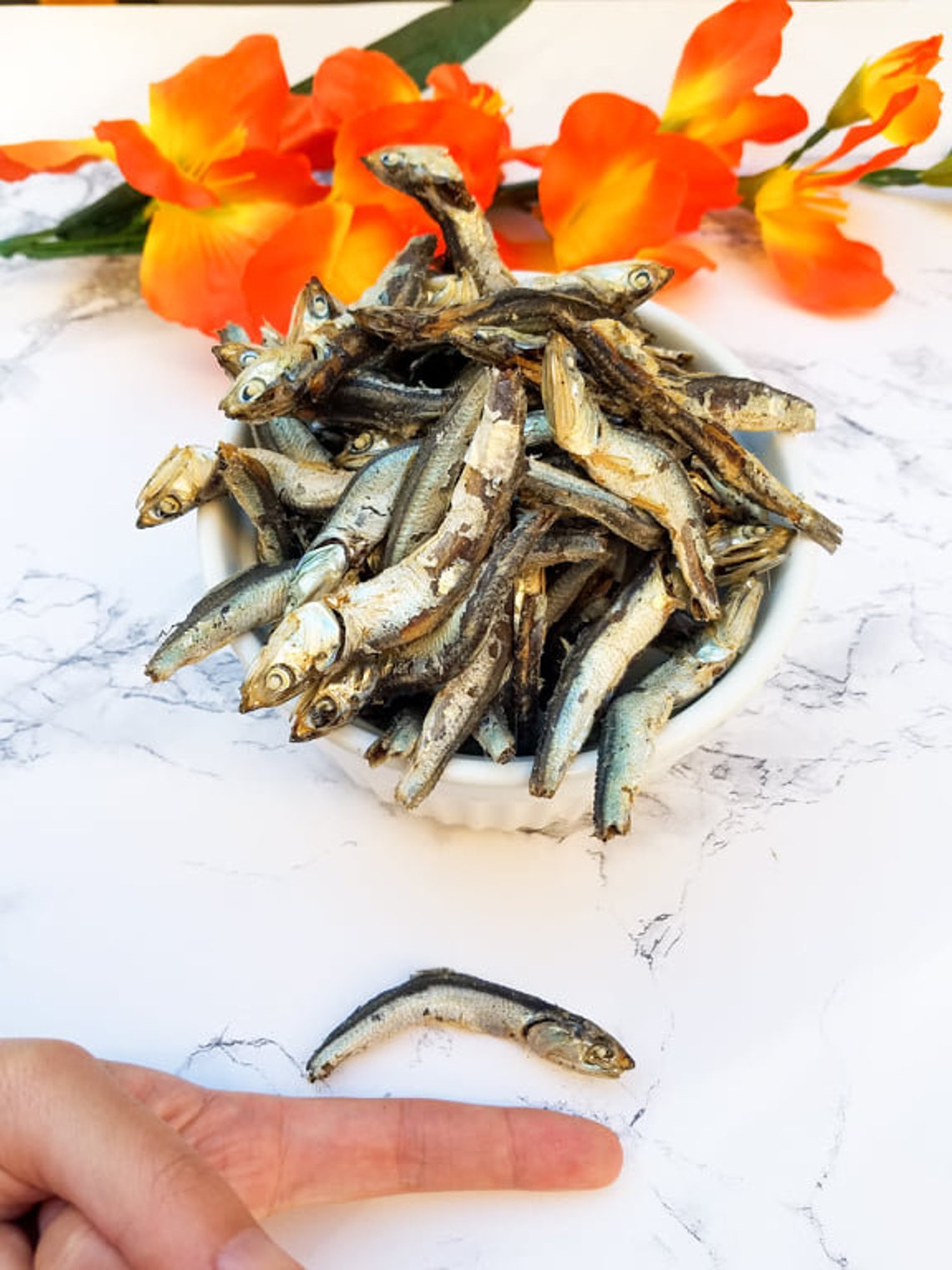 Dried Fish Treats Anchovies for Dogs and Cats Dehydrated Etsy