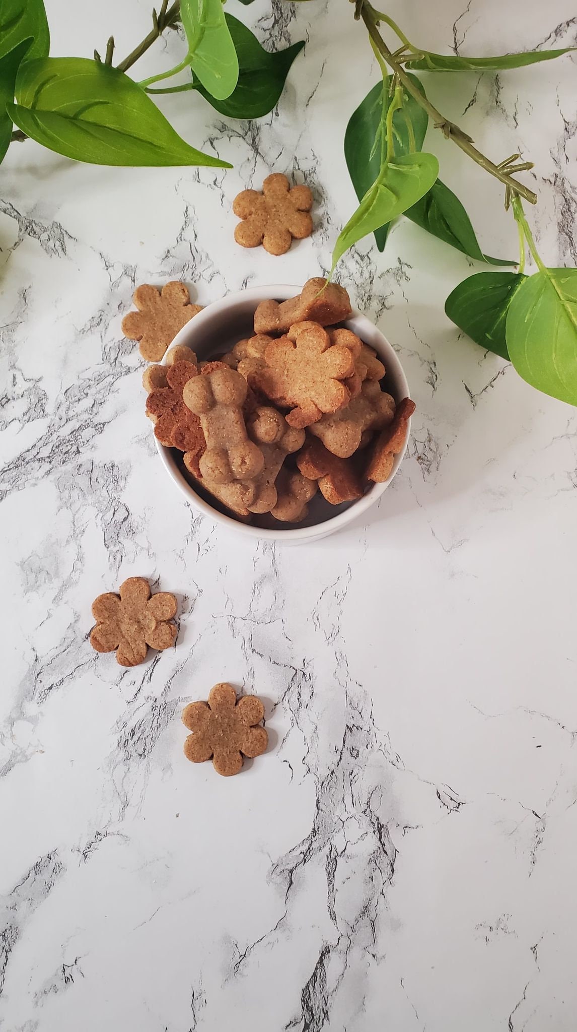 Ginger Dog Treats Organic Dog Treats Gluten Free Dog Treats Etsy