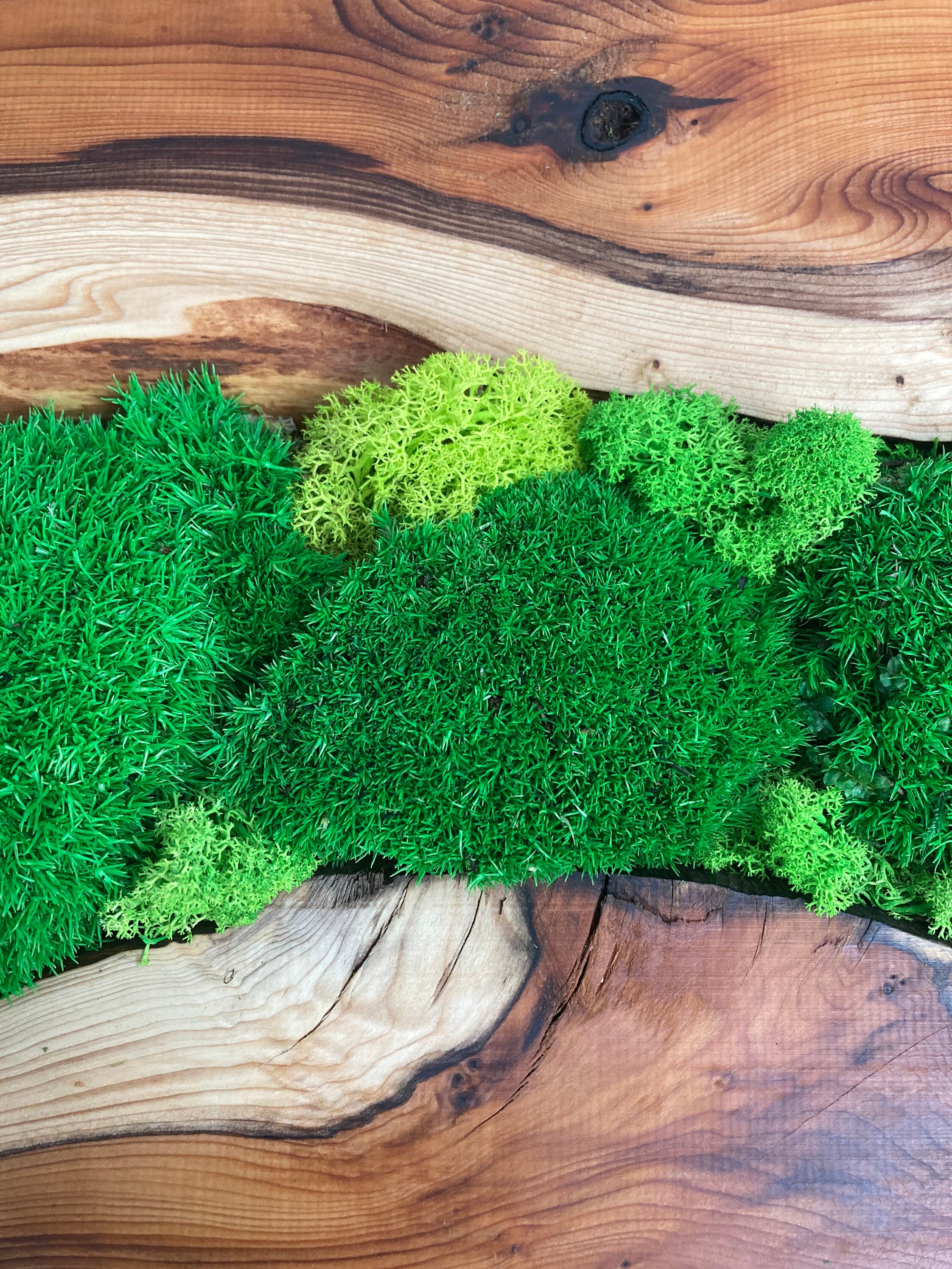 Moss Wall Art With Ash Wood - Etsy