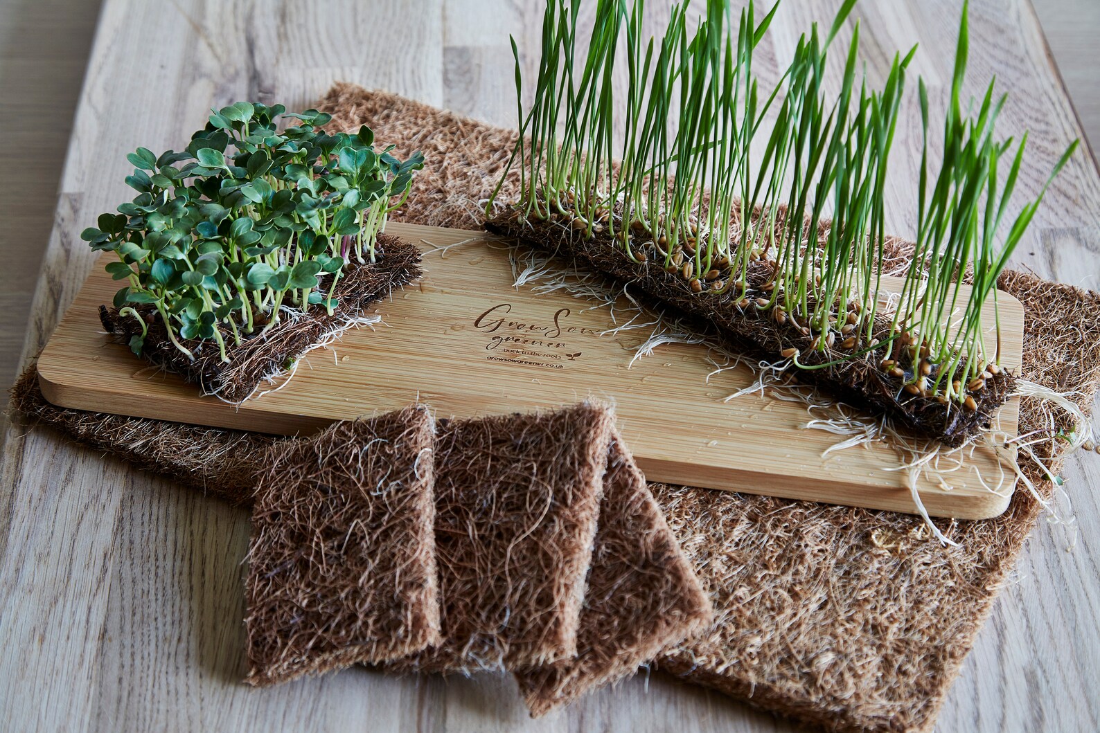 Coco Coir Microgreen Mat 38x25cms Etsy