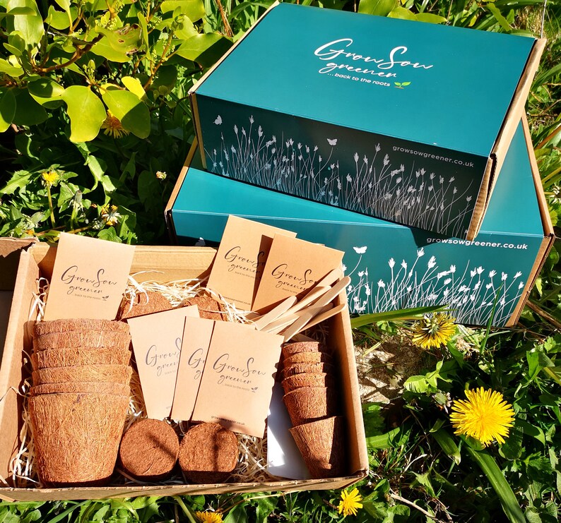 Greenhouse Grow Kit or Gift Etsy