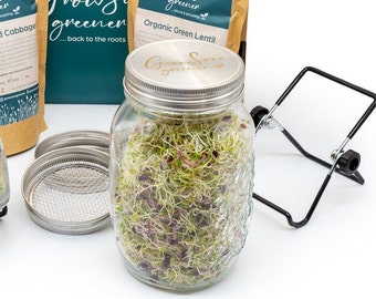 Seed Sprouting Jar, Stand and Canning Lid. Superfood. Healthy. Seeds. Eco gift. Grow your own food kit. Green. Healthy lifestyle