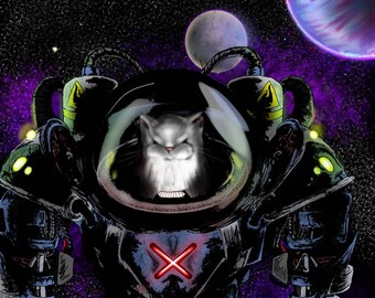 Space cat