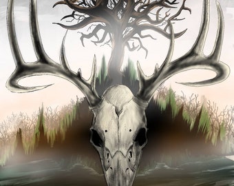 Deer skull