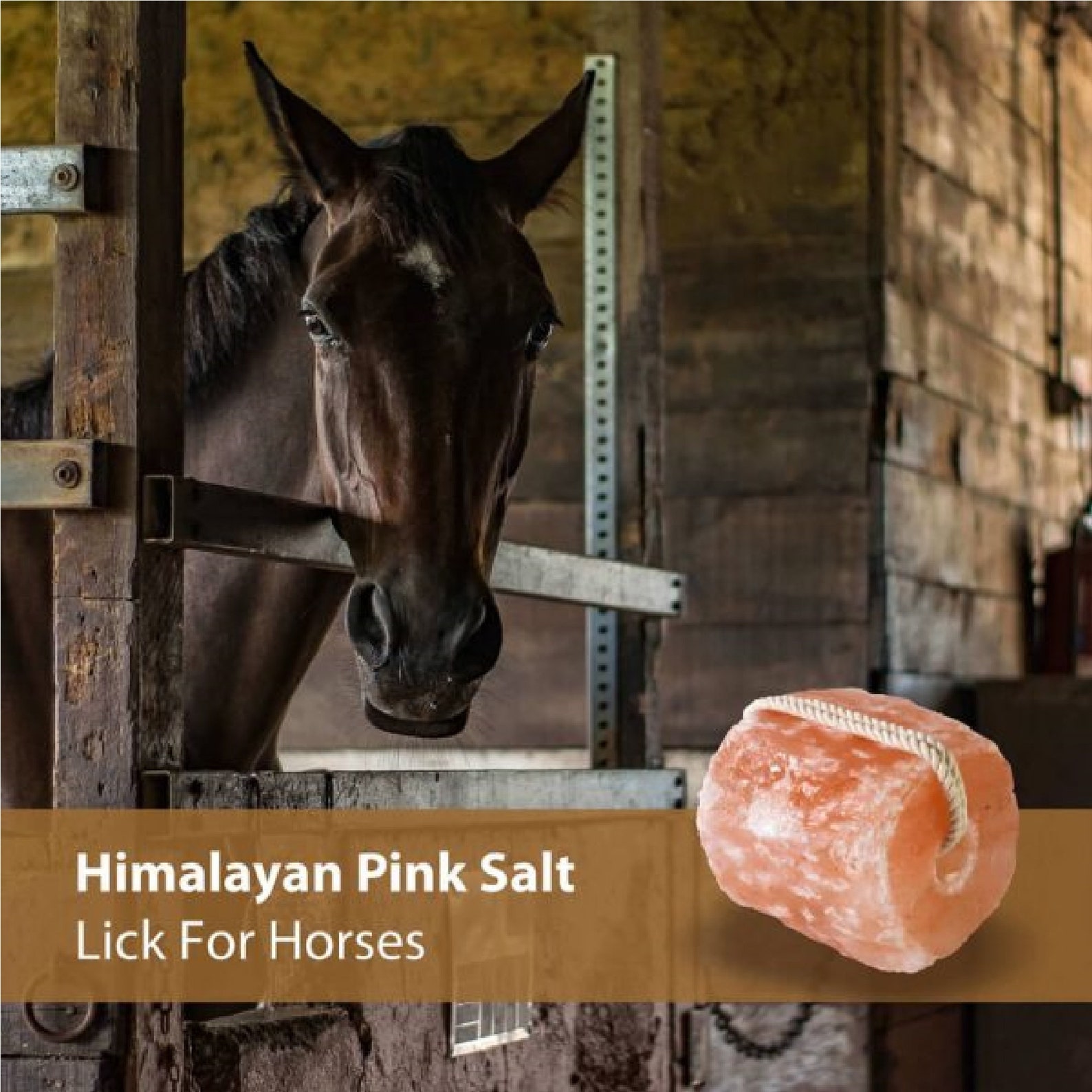 Himalayan Pink Salt Lick for Horses Rich Rose Pink Etsy