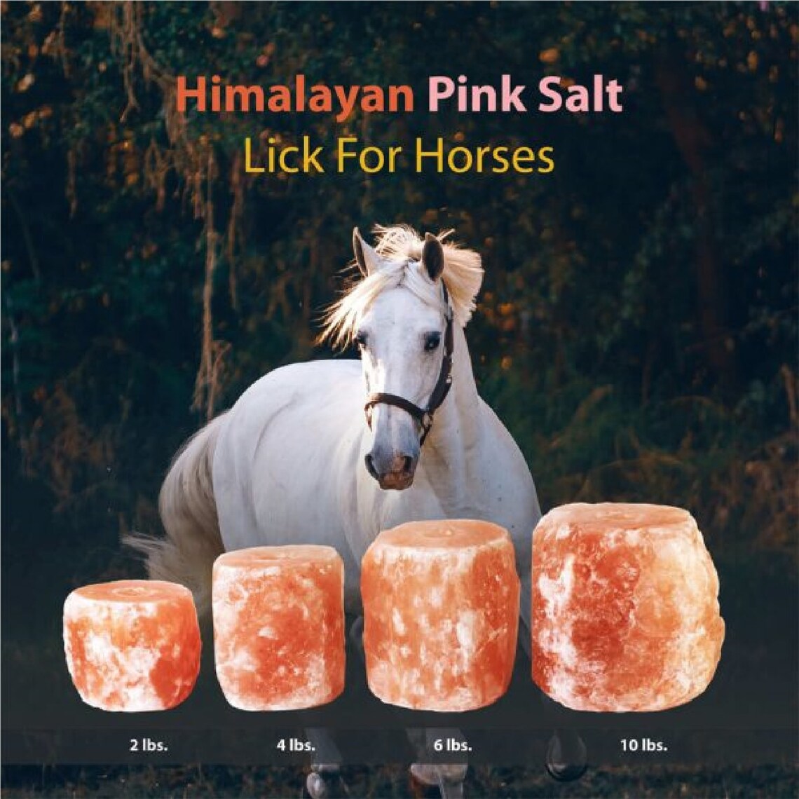 Himalayan Pink Salt Lick for Horses Rich Rose Pink Etsy