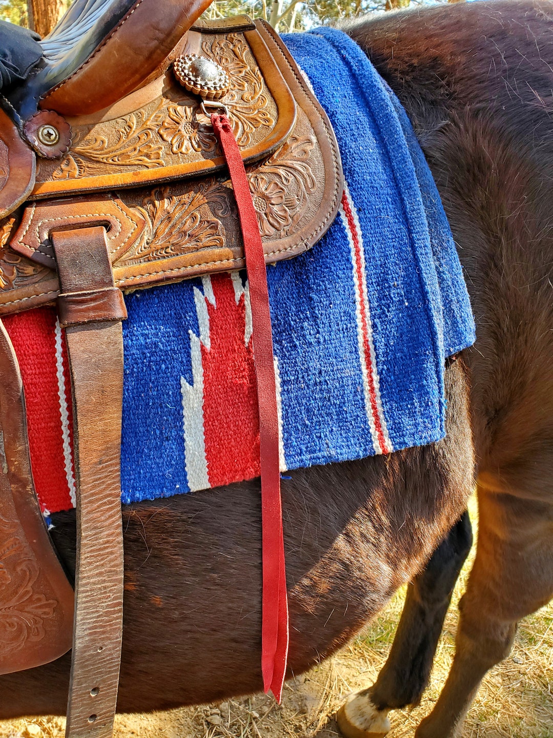 RED LATIGO Saddle Strings, Colored, Leather Tieon Straps, Western Tack