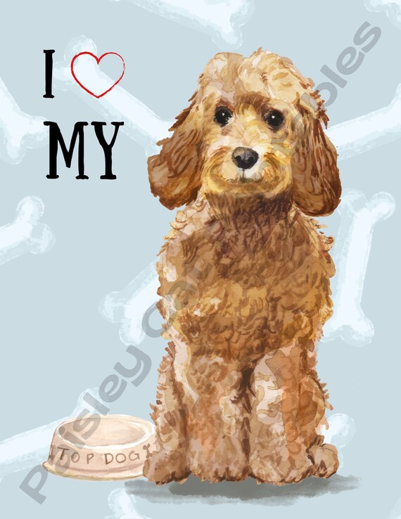 Cockapoo lover hotsell