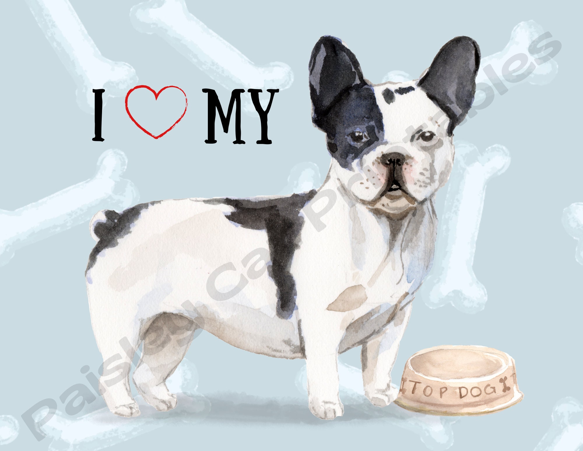 pets at home french bulldog for sale