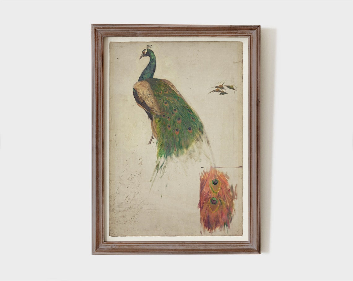 Printable Vintage Painting of a Peacock Antique Bird Print - Etsy