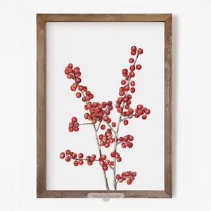 Printable Vintage sketch of a winterberry brach, red botanical winter wall art, rustic Christmas decor, instant download #WT114