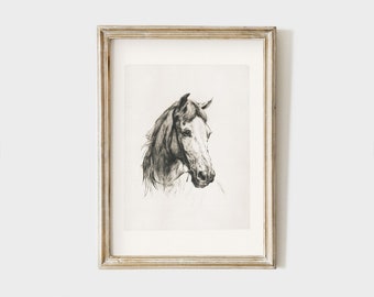 Printable Vintage horse portrait, minimalist antique equestrian print, instant download  #AN012