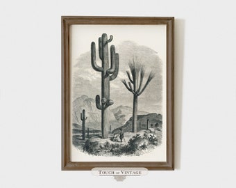 Printable vintage southwestern cactus landscape sketch, American desert print, rustic wall decor, instant download #S014-05