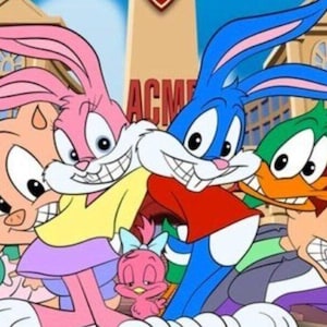 Tiny Toons Complete Series DVD