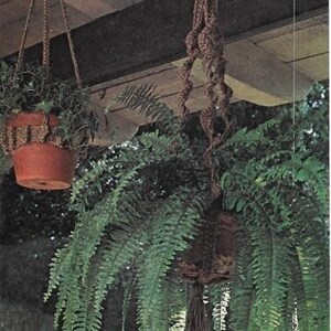 May include: Three hanging plant pots made of macrame rope with green plants inside. The pots are hanging from the ceiling of a porch.