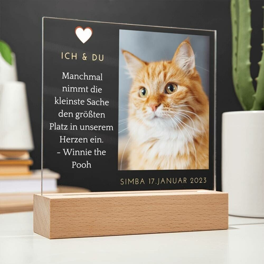 Personalisiertes Katzen-Gedenkgeschenk – Sonnenfänger Mit Katze Auf Mond Für Fenster Oder Garten (Acryl, Bunt)