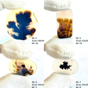 May include: Four polished dendritic agate gemstones with unique dark brown and black fern-like inclusions. Each stone is labeled with a code, size in mm, and weight in carats: DS-1 39x39mm 31ct, DS-5 13x25mm 11ct, DS-6 14x23mm 7ct, and DS-7 15x22mm 8ct.