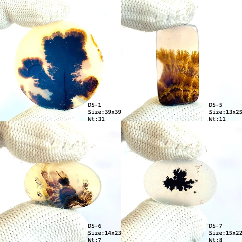 May include: Four polished dendritic agate gemstones with unique dark brown and black fern-like inclusions. Each stone is labeled with a code, size in mm, and weight in carats: DS-1 39x39mm 31ct, DS-5 13x25mm 11ct, DS-6 14x23mm 7ct, and DS-7 15x22mm 8ct.