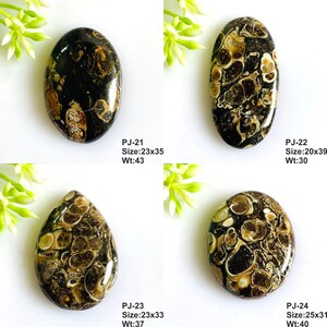 May include: Four polished cabochons with black and tan fossilized patterns. PJ-21 is 23x35mm, 43ct. PJ-22 is 20x39mm, 30ct. PJ-23 is 23x33mm, 37ct. PJ-24 is 25x31mm, 40ct. Each stone features unique organic swirls and circular inclusions.