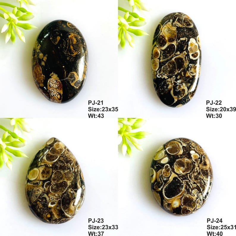 May include: Four polished cabochons with black and tan fossilized patterns. PJ-21 is 23x35mm, 43ct. PJ-22 is 20x39mm, 30ct. PJ-23 is 23x33mm, 37ct. PJ-24 is 25x31mm, 40ct. Each stone features unique organic swirls and circular inclusions.