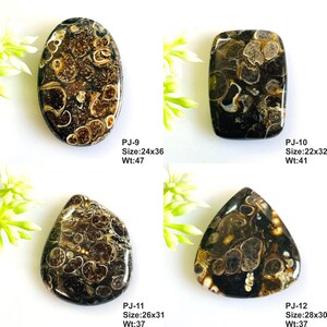 May include: Four polished black and brown fossilized stones with intricate circular patterns. Each stone is labeled with a code, size in mm, and weight in grams: PJ-9 24x36mm 47g, PJ-10 22x32mm 41g, PJ-11 26x31mm 37g, and PJ-12 28x30mm 37g.