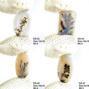 May include: Four dendritic agate cabochons with tree-like inclusions. DS-42: 12x18mm, 4ct. DS-45: 10x15mm, 4ct. DS-46: 10x18mm, 4ct. DS-47: 9x18mm, 3ct. Each stone features unique dark brown or black fern-like patterns against a translucent or beige background.