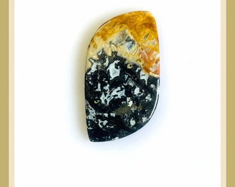 Echter PalmWurzel Achat Cabochon: Natürlicher Crazy Lace Edelstein Anhänger