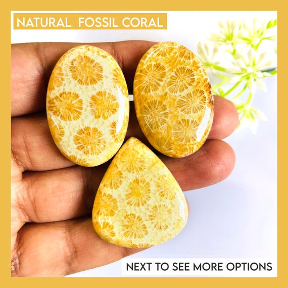 Natural Fossil Coral Gemstone Cabochon: Jewelry Making Pendant