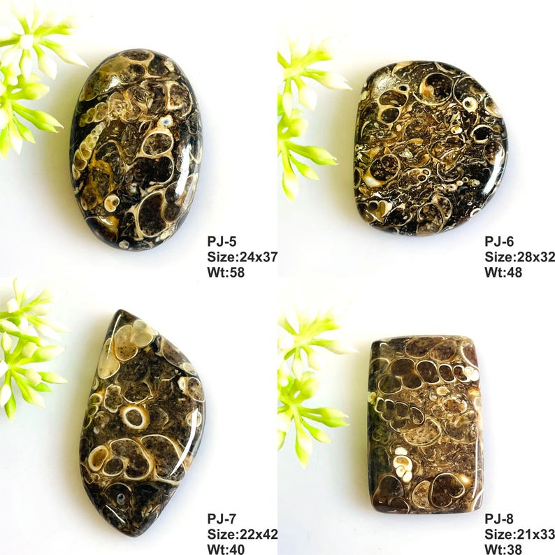 May include: Four polished fossilized stones with dark brown and cream circular patterns. Each stone is labeled with a code, size in mm, and weight in carats: PJ-5 24x37mm 58ct, PJ-6 28x32mm 48ct, PJ-7 22x42mm 40ct, and PJ-8 21x33mm 38ct.