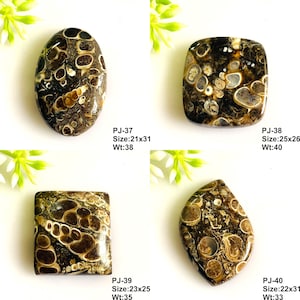 May include: Four polished fossilized stone cabochons with dark brown and cream circular patterns. Each piece is labeled with a code, size in mm, and weight in carats: PJ-37 (21x31, 38), PJ-38 (25x26, 40), PJ-39 (23x25, 35), and PJ-40 (22x31, 33).