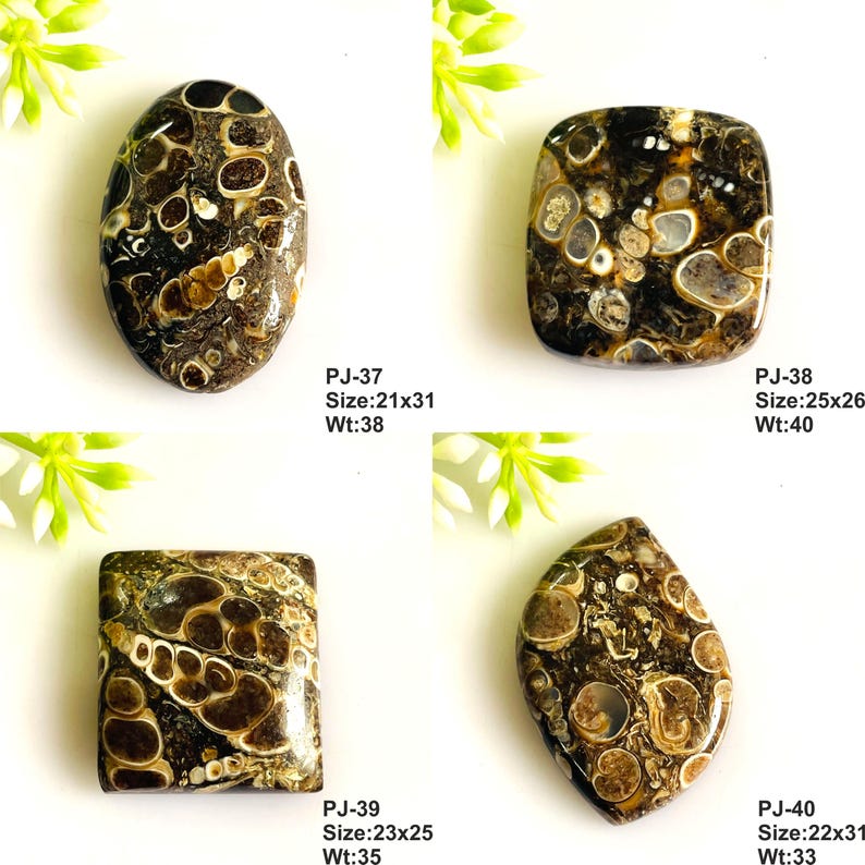 May include: Four polished fossilized stone cabochons with dark brown and cream circular patterns. Each piece is labeled with a code, size in mm, and weight in carats: PJ-37 (21x31, 38), PJ-38 (25x26, 40), PJ-39 (23x25, 35), and PJ-40 (22x31, 33).