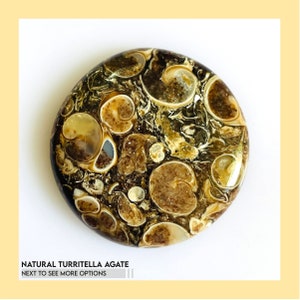 Turritella Agate Gemstone cabochon, Mix Shape Natural Designer Turritella Cabochon, Loose wholesale Gemstone Jewelry Making Supply