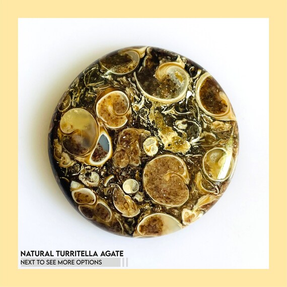 Natural Turritella Agate Cabochon: Mix Shape Gemstone Jewelry Supply