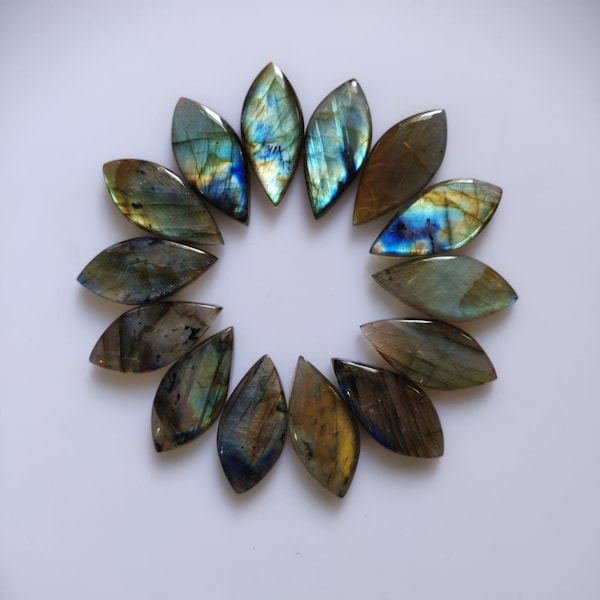 Ensemble de pierres précieuses de forme fantaisie de Labradorite naturelle pour la fabrication de bijoux de boucles d'oreilles, lot de cabochon de pierres précieuses de Labradorite en gros Multifare