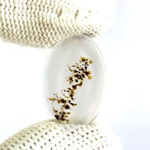 May include: An oval-shaped, translucent cabochon gemstone featuring a clear, colorless body with distinct, dark brown, fern-like dendritic inclusions that branch out through the center of the stone, creating a natural, tree-like pattern.