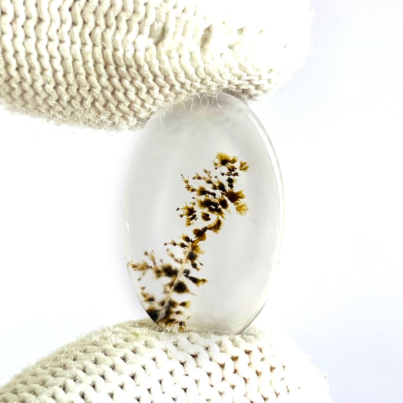 May include: An oval-shaped, translucent cabochon gemstone featuring a clear, colorless body with distinct, dark brown, fern-like dendritic inclusions that branch out through the center of the stone, creating a natural, tree-like pattern.