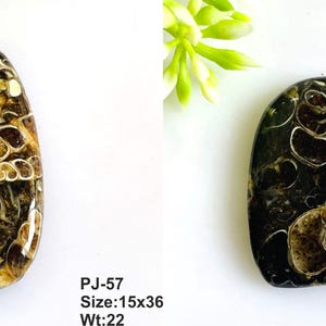 May include: Two polished dark brown fossil stones with cream-colored spiral patterns. The left stone is teardrop-shaped, labeled PJ-57, size 15x36, wt:22. The right stone is rectangular with rounded corners, labeled PJ-58, size 18x28, wt:21.