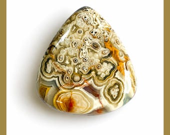 Natuurlijke cabochon van Crazy Lace-agaat: edelsteen met platte achterkant voor sieraden