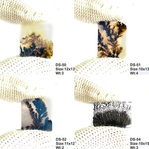 May include: Four rectangular dendritic agate gemstones with unique black and brown fern-like inclusions. Each stone is labeled with codes DS-50, DS-51, DS-52, and DS-54, including dimensions in mm and weight in grams, such as 12x13 mm and 3 grams.