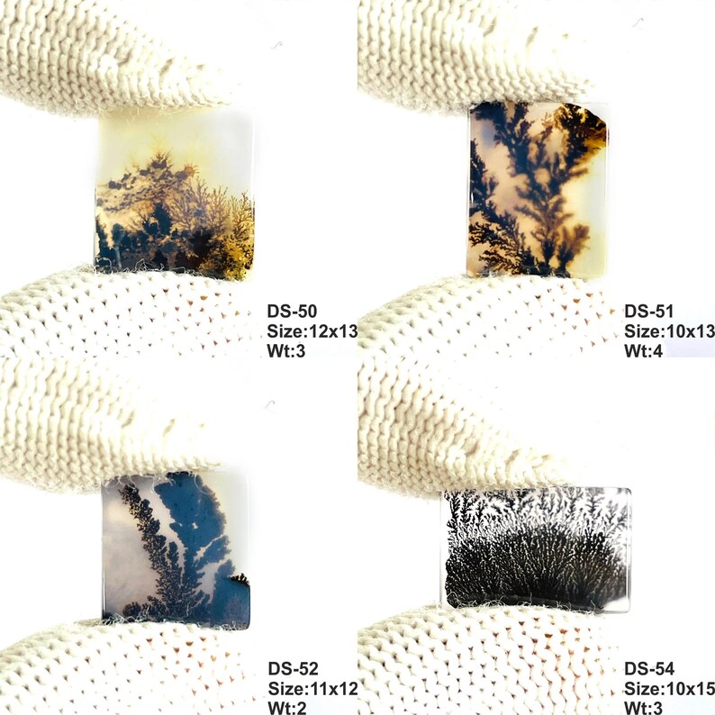 May include: Four rectangular dendritic agate gemstones with unique black and brown fern-like inclusions. Each stone is labeled with codes DS-50, DS-51, DS-52, and DS-54, including dimensions in mm and weight in grams, such as 12x13 mm and 3 grams.