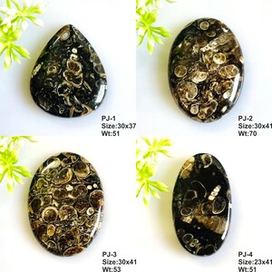 Natural Turritella Agate Cabochon: Mix Shape Gemstone Jewelry Supply image 2