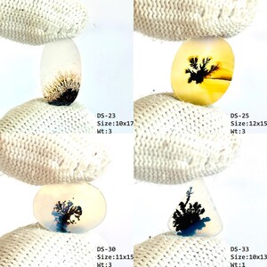 May include: Four dendritic agate gemstones with unique black fern-like inclusions. DS-23: 10x17, Wt:3. DS-25: 12x15, Wt:3. DS-30: 11x15, Wt:3. DS-33: 10x13, Wt:1. The stones are translucent, oval, and triangular, displaying organic patterns.