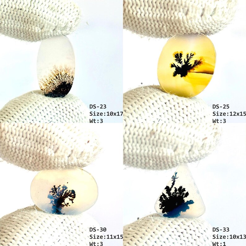 May include: Four dendritic agate gemstones with unique black fern-like inclusions. DS-23: 10x17, Wt:3. DS-25: 12x15, Wt:3. DS-30: 11x15, Wt:3. DS-33: 10x13, Wt:1. The stones are translucent, oval, and triangular, displaying organic patterns.