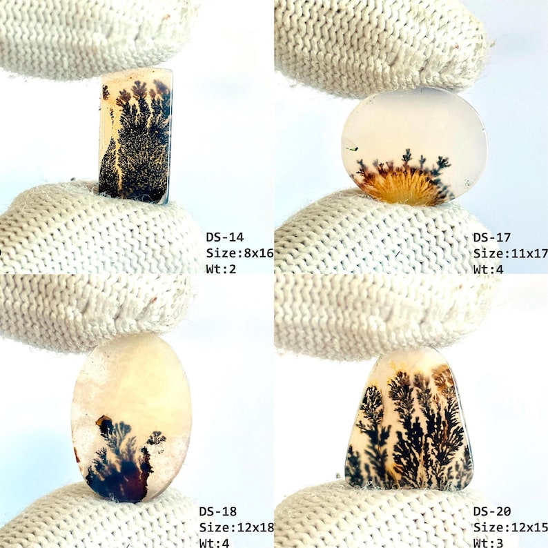 May include: Four dendritic agate gemstones with unique black fern-like inclusions. DS-14 is 8x16mm, DS-17 is 11x17mm, DS-18 is 12x18mm, and DS-20 is 12x15mm. Each stone displays distinct organic patterns within a translucent, off-white, and tan base.