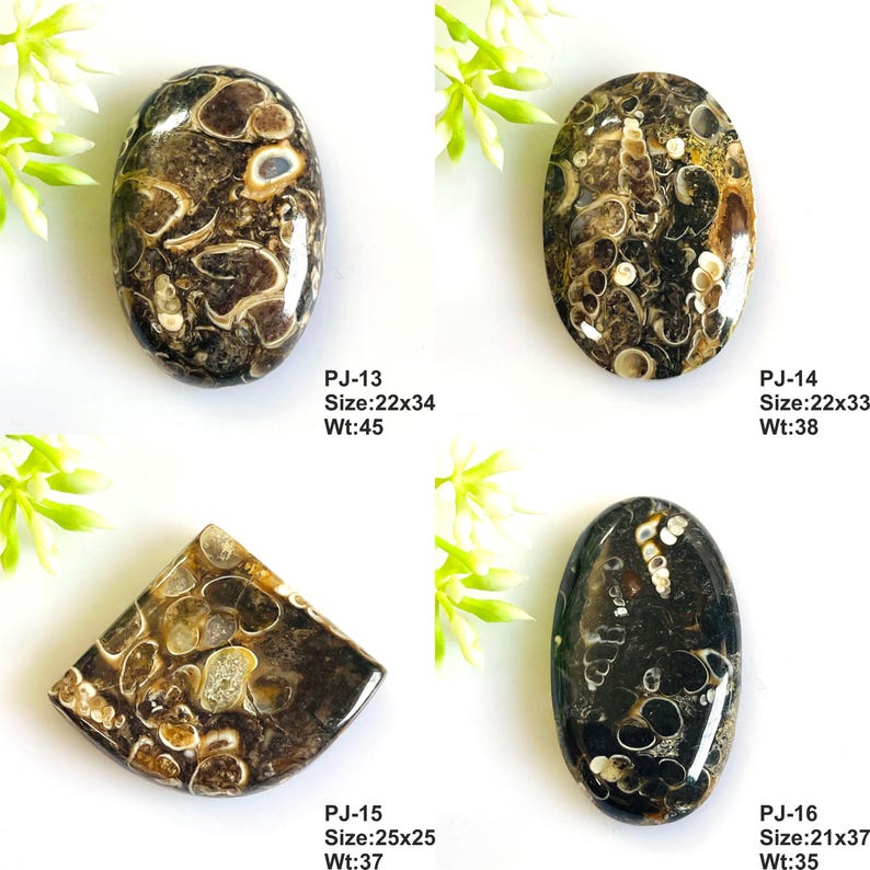 May include: Four polished fossiliferous stone cabochons with dark brown and cream-colored organic patterns. Each piece is labeled with a code, size in millimeters, and weight in carats: PJ-13 22x34mm 45ct, PJ-14 22x33mm 38ct, PJ-15 25x25mm 37ct, and PJ-16 21x37mm 35ct.