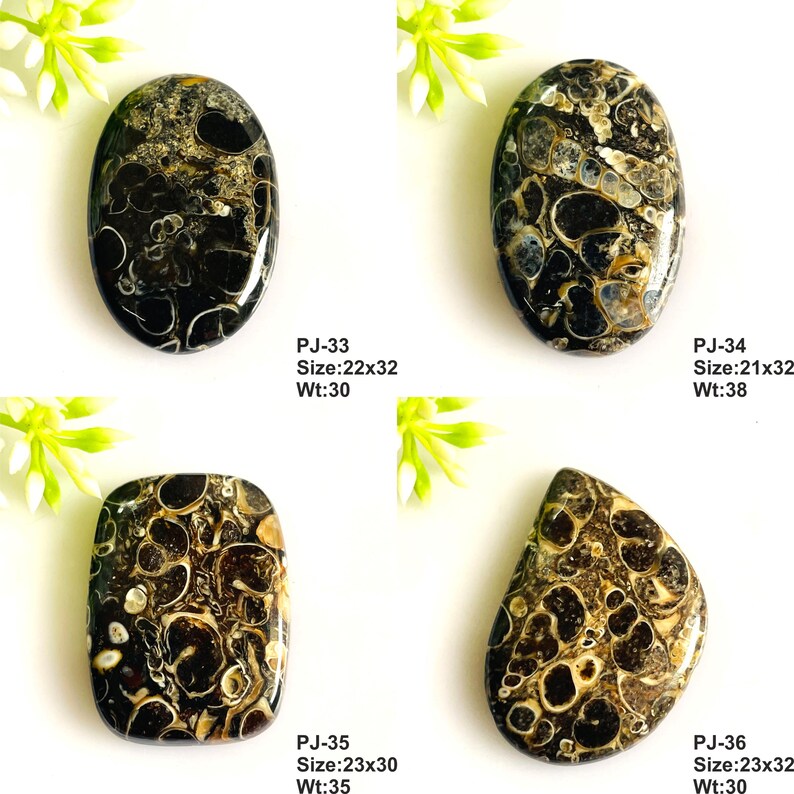 May include: Four polished oval and irregular shaped cabochons featuring dark brown and black fossilized patterns. Each stone is labeled with codes PJ-33, PJ-34, PJ-35, and PJ-36, including dimensions in millimeters and weights in carats.