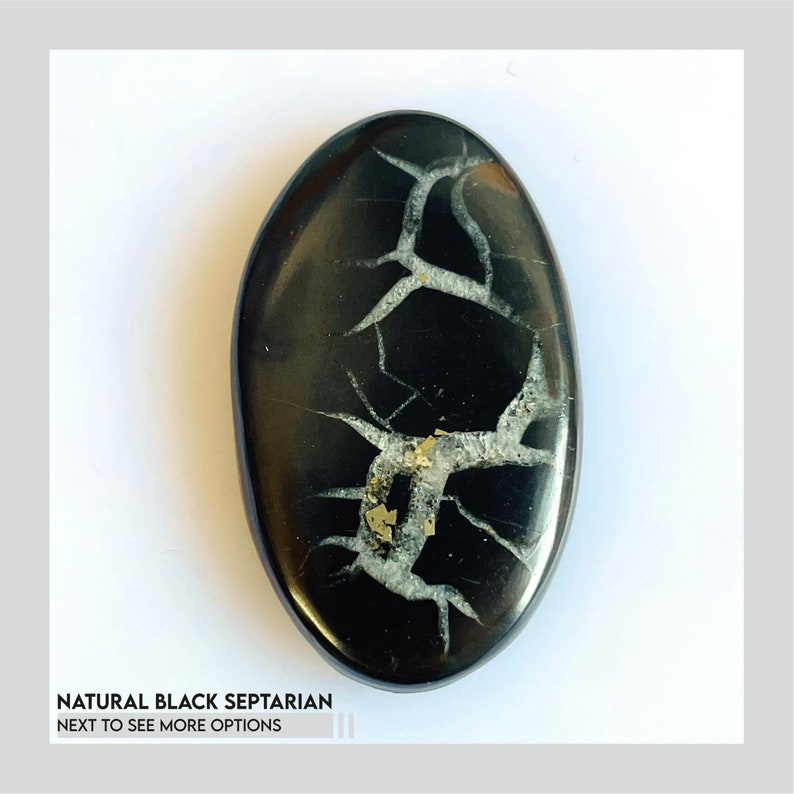 K&ouml;nnte beinhalten: Ein polierter, ovaler schwarzer Septarien-Stein mit wei&szlig;en und goldenen Adern. Der Stein hat eine glatte, gl&auml;nzende Oberfl&auml;che. Der Text "NATURAL BLACK SEPTARIAN" ist unten im Bild sichtbar. Wei&szlig;er Hintergrund.