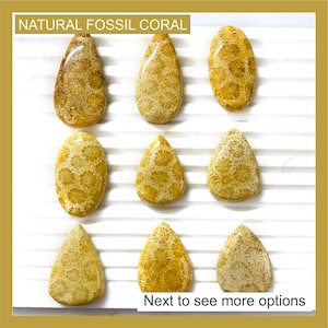 May include: Nine polished natural fossil coral cabochons in teardrop and oval shapes, featuring intricate tan and cream floral patterns. The text NATURAL FOSSIL CORAL appears at the top, and Next to see more options is at the bottom.