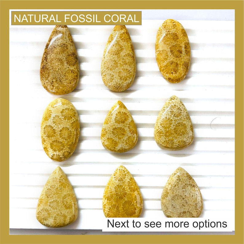 May include: Nine polished natural fossil coral cabochons in teardrop and oval shapes, featuring intricate tan and cream floral patterns. The text NATURAL FOSSIL CORAL appears at the top, and Next to see more options is at the bottom.