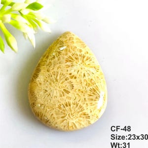May include: A teardrop-shaped fossil coral cabochon with a cream and tan intricate floral pattern. The stone is labeled CF-48 with a size of 23x30 and a weight of 31. This polished gemstone features a smooth surface and a distinct organic texture.